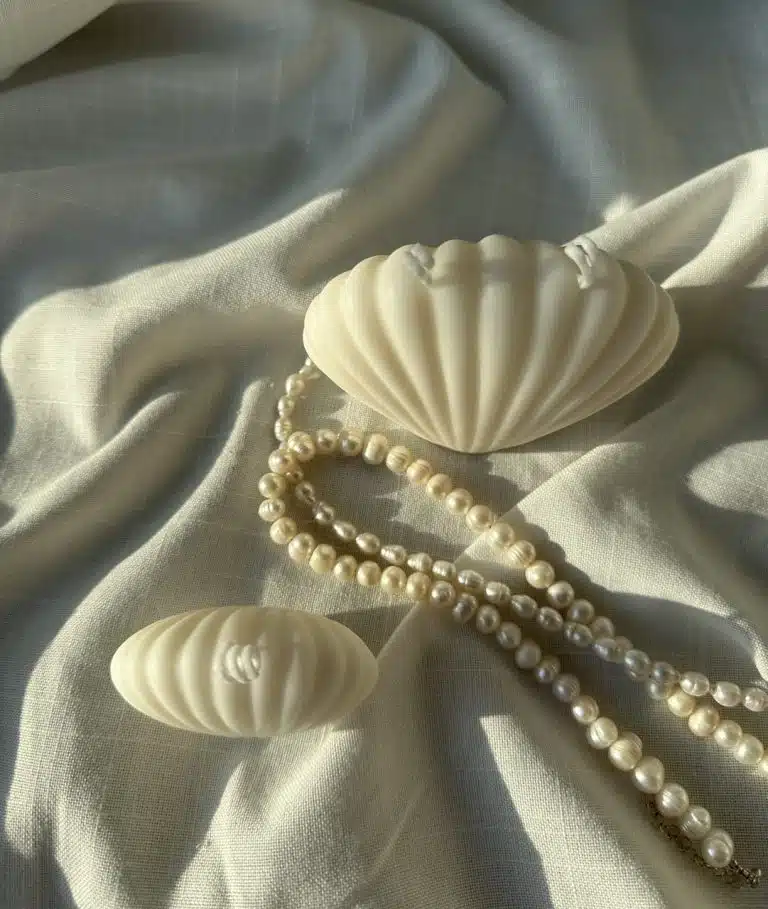 נר צדפה גדול